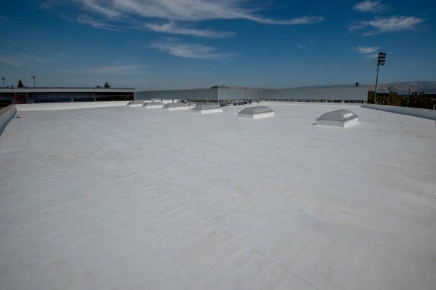 Best Steel Roofing  in Maybrook, NY